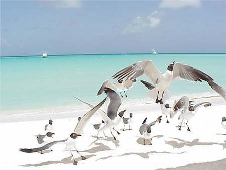 Los Roques