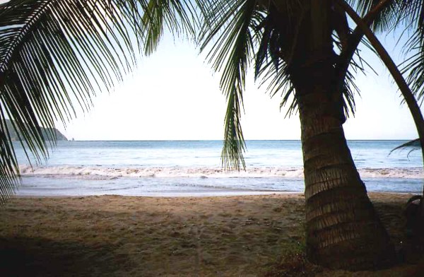 Sucre